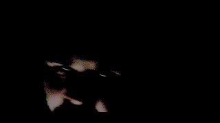 Gardens of Grey - Skin