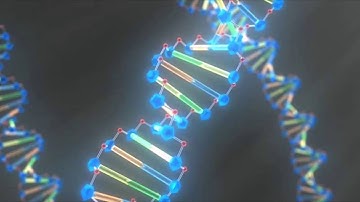 SCIENTISTS DISCOVER QUADRUPLE HELIX