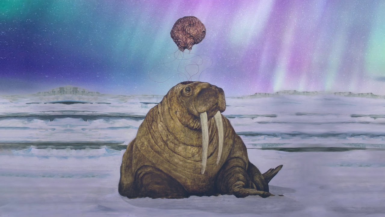 Tanya Tagaq - Icebreaker