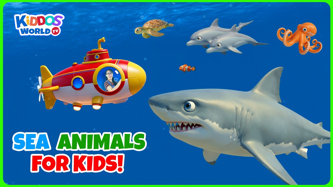 Sea Animals for Kids | Fun Ocean Animal Facts | Submarine Adventure with Miss V