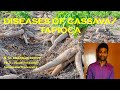 Diseases of Cassava / Tapioca |Tuber Crops | Plant Pathology | Exam Oriented Discussions