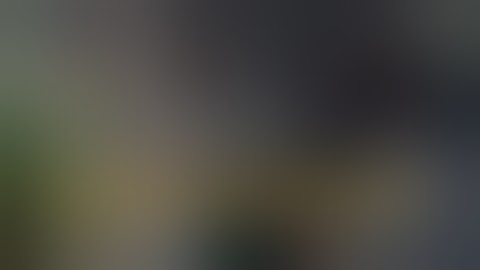 Cannabis Industry Discussion | Doubling Yields With Fohse LEDs 💡