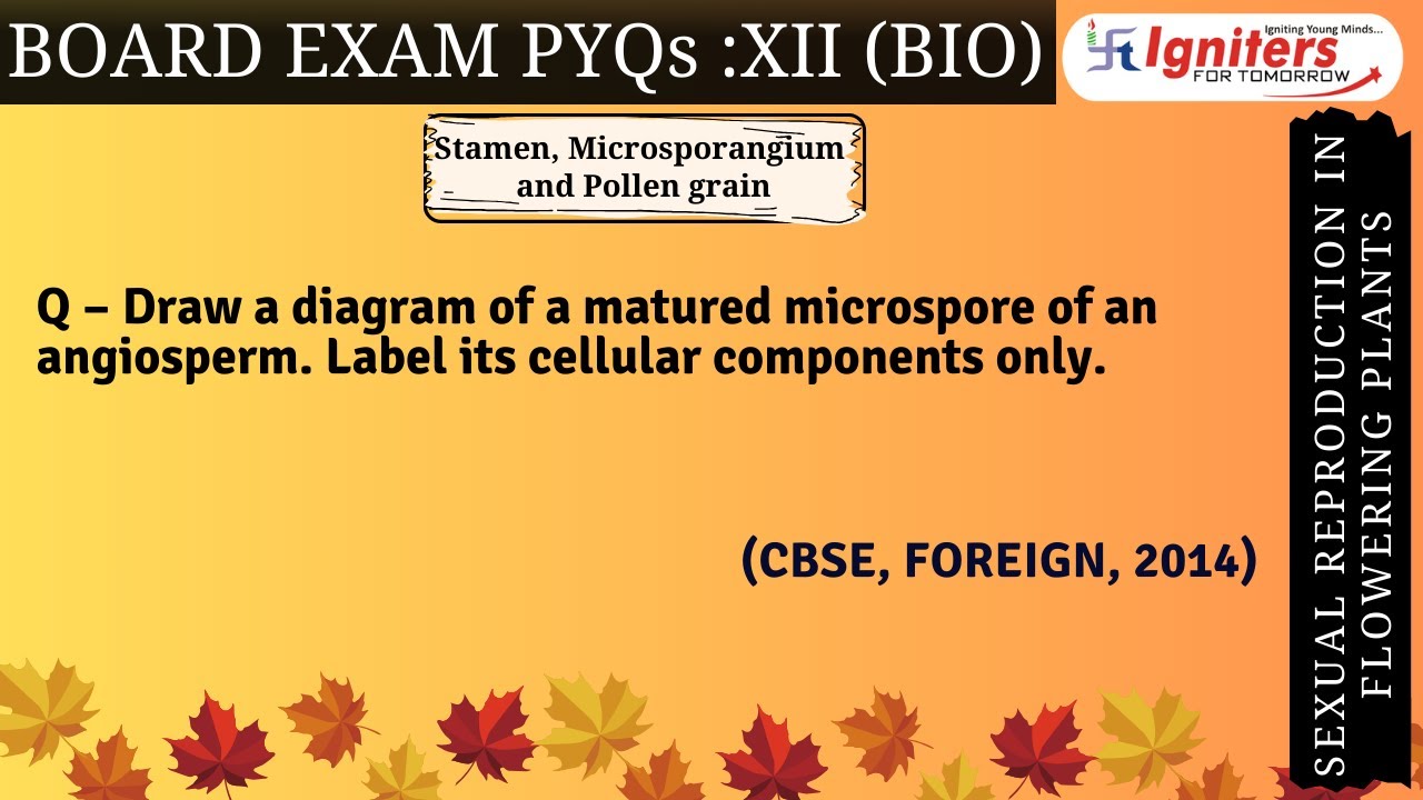 Draw a diagram of a matured microspore of an angiosperm. Label its