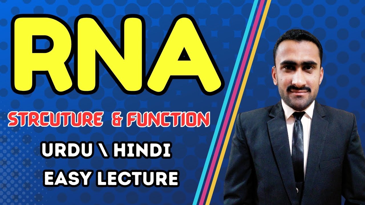 Introduction to RNA | RNA Structure, Functions | A Type of Nucleic Acid ...