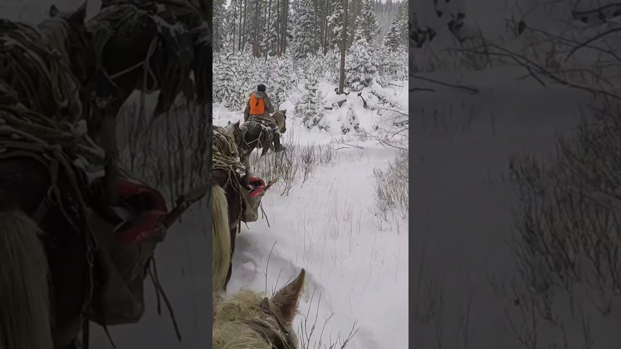 Packing into Elk Camp 