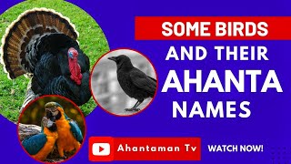 SOME BIRDS AND THEIR AHANTA NAMES