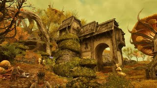 видео: The Elder Scrolls IV: Oblivion Remastered - 181 серия - Порция акванострума картинка: The Elder Scrolls IV: Oblivion Remastered - 181 серия - Порция акванострума