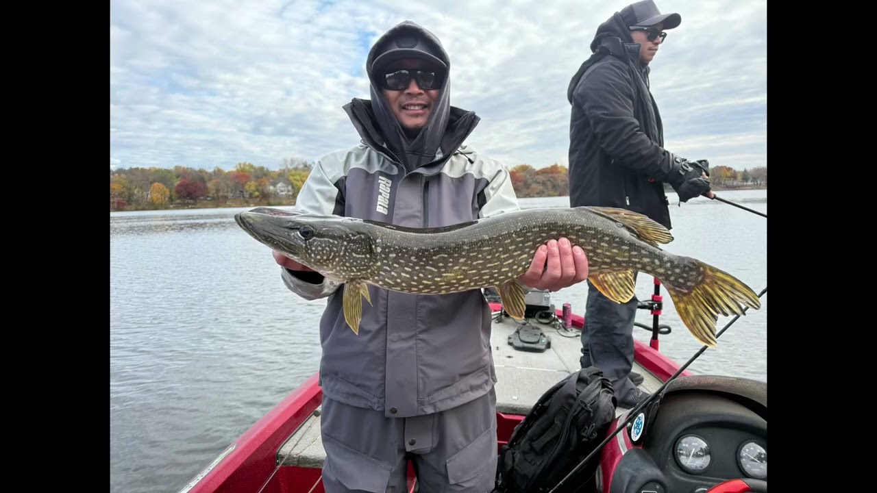 Minnesota metro bass fishing early November 2025