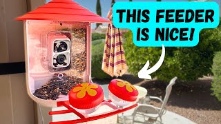 Watch Birds Up Close With Lumary Smart Bird Feeder Camera & Solar Charger Review