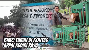 BIMO TURUN DI KELAS BABY || KONTES SAPI APPSI KEDIRI RAYA || KETURUNAN BIMASAKTI !!!