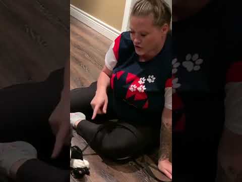 Видео: Нохойг бохирын саванд яаж баасжуулах вэ?