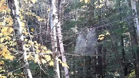 video-2012-10-20-10-19-12