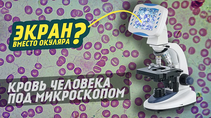 Levenhuk DL LCD Digital Microscope | Review |