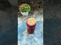 Jbl bass test rice 🌾 #jblbasstest #shortvideo #jbl