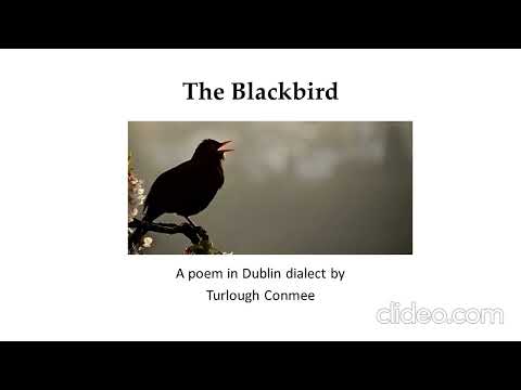 The blackbird, a poem