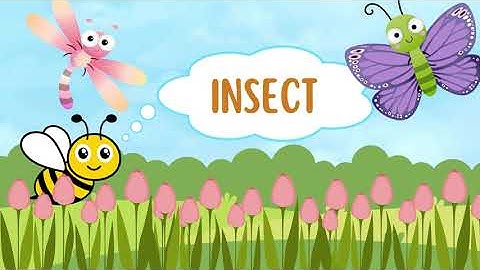 TIẾNG ANH CHO BÉ | TỪ VỰNG | THẾ GIỚI CÔN TRÙNG