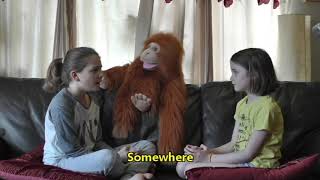 "Somewhere (There's No Place for You)" - lockdown parody by the Marsh Family of West Side Story song