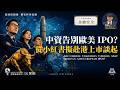 中國公司告別歐美 IPO？從小紅書擬赴港上市談起｜金融安全｜從小紅書陳浩案、談到VIE 架構、再到海外上市與金融安全｜Simon Universe｜國際關係教室 93｜大學堂｜🇨🇳 🇺🇸 🇬🇧