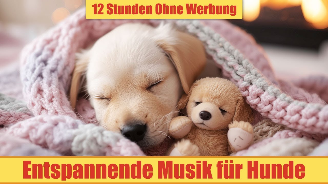 Beruhigende Musik für Hunde - 12 Stunden Ohne Werbung | Bei Gewitter & Feuerwerk_vol.24