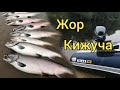 Жор КИЖУЧА! Супер рыбалка! / Сахалинская рыбалка & Sakhalin fishing