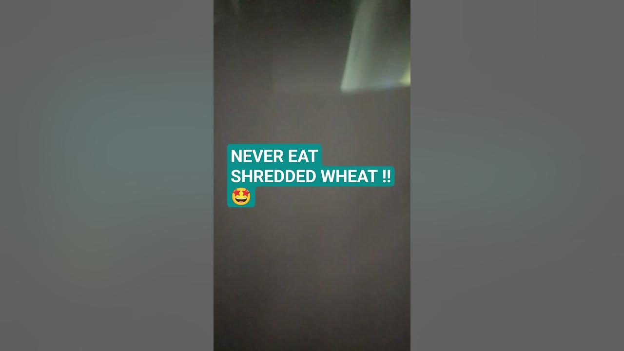 never-eat-shredded-wheat-youtube