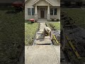 From Mud to a Luxury Garden Path 😳🌿 #beforeafter #timelapse #truestory