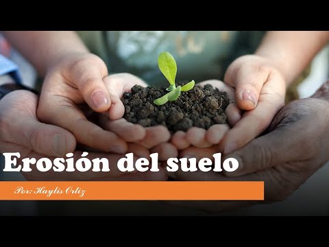 Video: ¿Cómo afecta la erosión del suelo a la economía?
