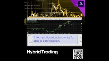 GTR Bot Backtest: Precision Trading in Action