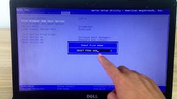 how to boot from USB on Dell laptop