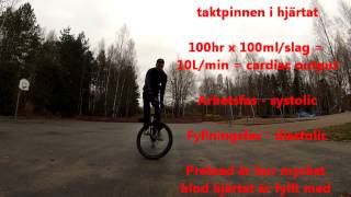 Sammanfattning Idrottsfysiologi På 2Min