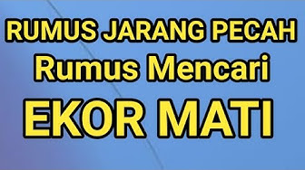 Ekor Youtube