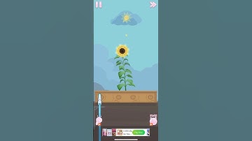 Perfect Tidy - Level 23 #Shorts #PerfectTidy #KamasPlay