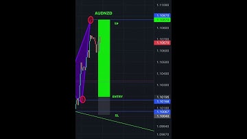 📊 創造每月穩定20%盈利 🔺