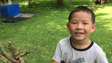 Mus pw zov qaib pem teb