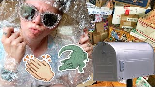 Swamp Family Mail!- HURRICANE Edition?