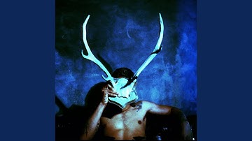 STRAIGHT FROM THE SOURCE