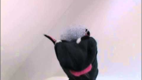 Tony the Pony (a very good friend of Jon Skeet) invites to DevDay 2013