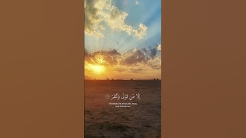( أفلا ينظرون إلى الإبل كيف خلقت ) سورة الغاشية #quran #قرآن
