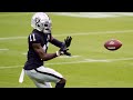 Henry Ruggs III Rookie 2020 Raiders  Highlights