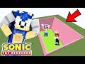 Minecraft Sonic The Hedgehog - Trapping All Sonic's Friends In A Box! [129]