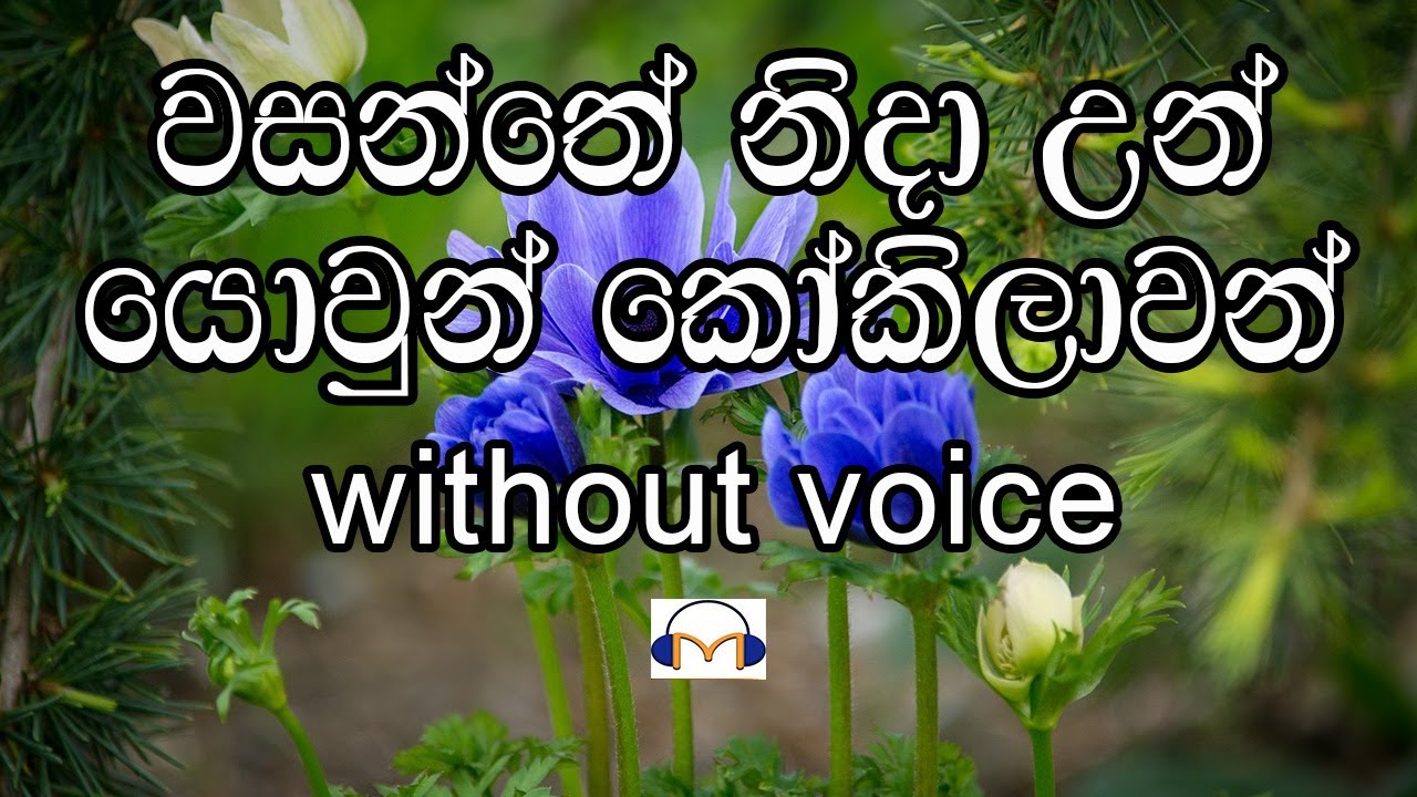Wasanthe Nida Un Karaoke (without voice) වසන්තේ නිදා උන්