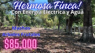 💚 #92 VENDO HERMOSA FINCA con MUCHOS ARBOLES FRUTALES #propiedadesenventa #terrenos #casasenventa