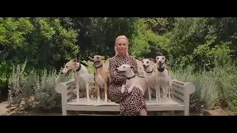 electricevolution.eu / The future of eMobility is coming!