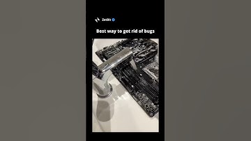 Best way to get rid of bugs #programmer #codinglife #programmerlife