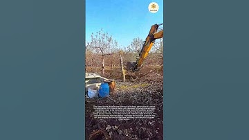 Massive Tree Removal with an Excavator: Replanting the future of this farm