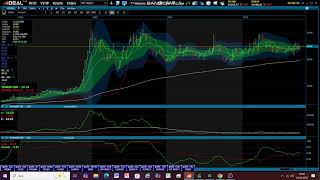 Ons Altın Yerine Kozal Olur Mu? Tavsiye Değildir 16.10.2025