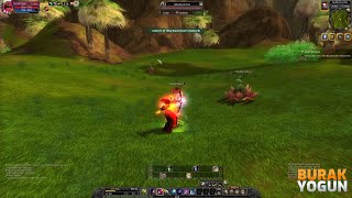 Silkroad Online - Zararlı Otların Temizlenmesi Hotan Karakolu 1 Görevi