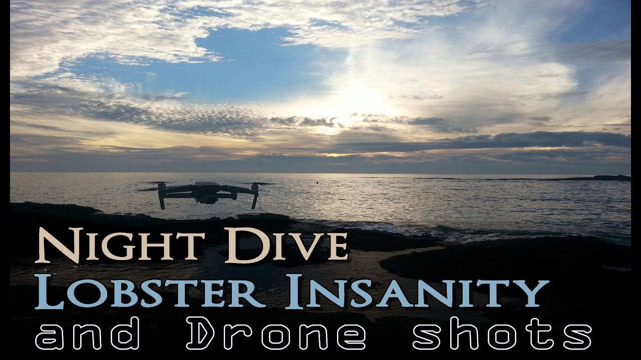 Montage Night Dive, Lobster Insanity, 11-21-18