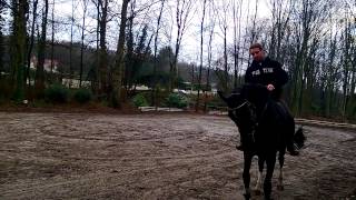 WP 20120902 004 Travail au Galop