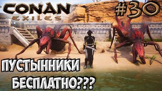 Conan Exiles #30 ☛ Где найти бесплатных детенышей пустынника ✌